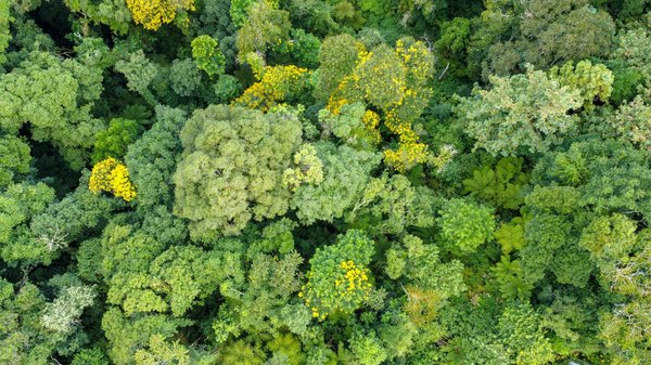 Rénovation d'ampleur : des témoignages qui font la différence